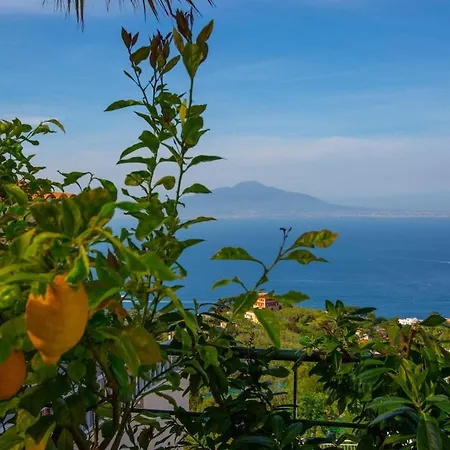 Spacious With Pool, Jacuzzi & Panoramic Sea View * Sorrento